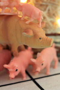 Veilleuse Saute-cochon ©Matucana